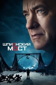 Шпионский мост (2015)