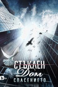 Стъклен дом (2010)