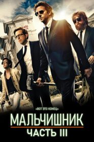 Мальчишник: Часть III (2013)