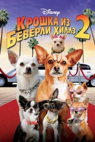 Крошка из Беверли-Хиллз 2 (2011)