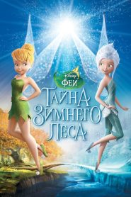 Феи: Тайна зимнего леса (2012)